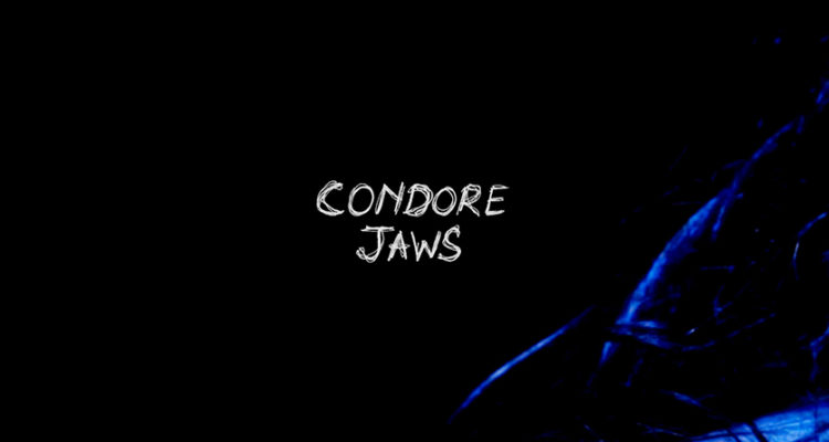 Condore “JAWS”