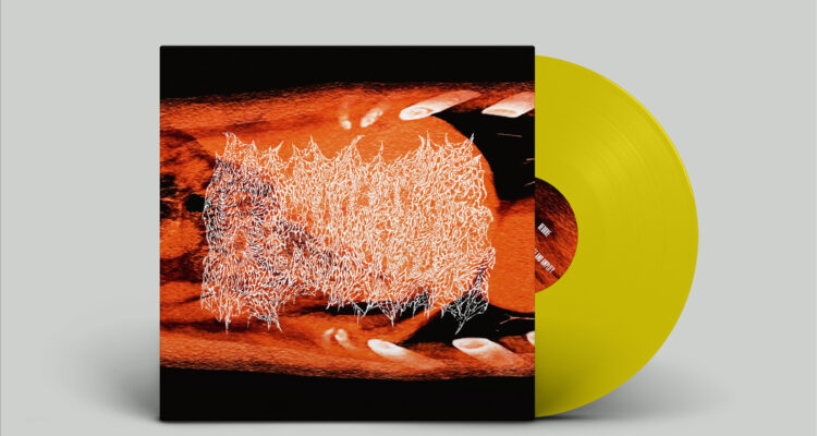 Pre-order the new album by Beurre !