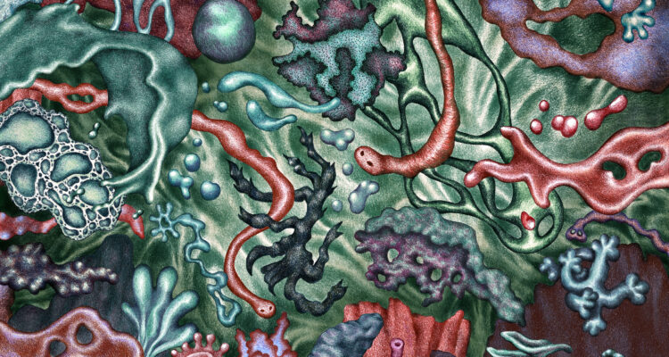 Pre-order « Vague Scélérate » by GROS COEUR now !